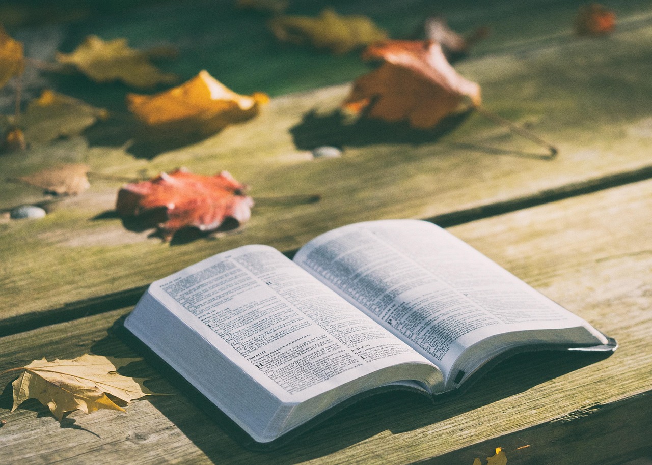 youth bible study church